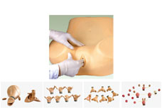 Advanced Gynecological Training Models