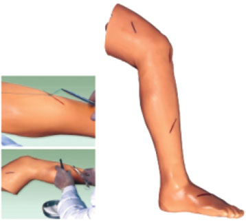 Advanced Surgical Suture Leg