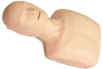Basic CPR Manikin