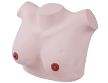 Breast Inspection Model