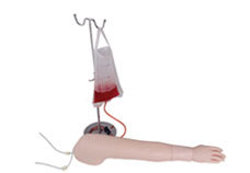 Multi-Functional Intravenous Injection Arm Model