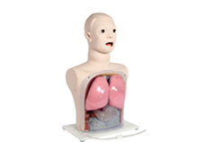 Nasal Feeding and Gastric Lavage Simulator