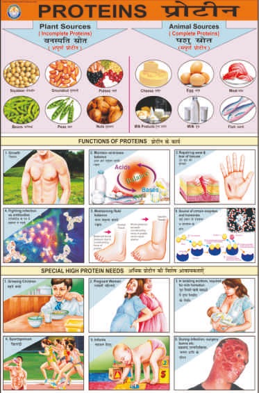 charts-on-food-and-nutrition