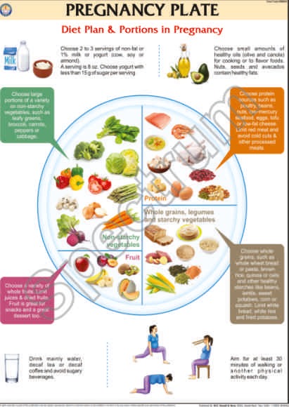 charts-on-food-and-nutrition