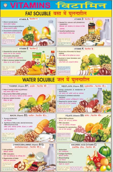charts-on-food-and-nutrition