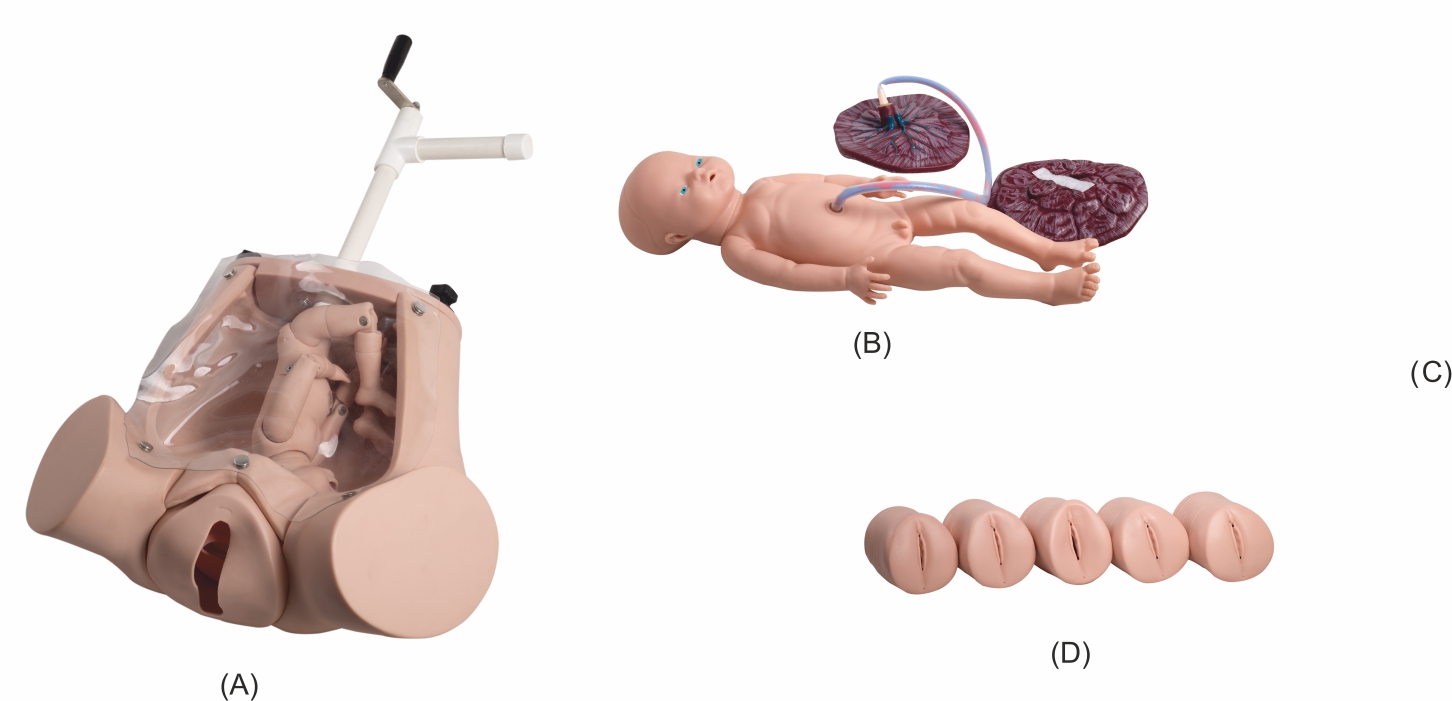advanced-abdominal-palpation-and-delivery-mechanism