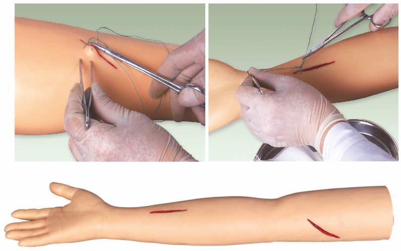 Advanced Surgical Sutured Arm